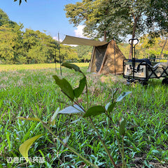 Lightweight Waterproof Two-Person Portable Camping Shelter Tent Outdoor