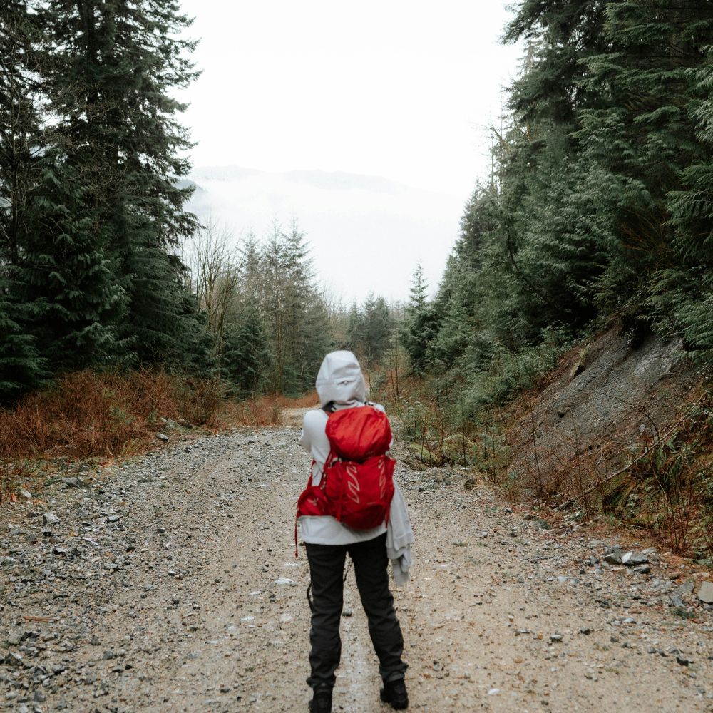 Person with a red backpack walking on a forest path
